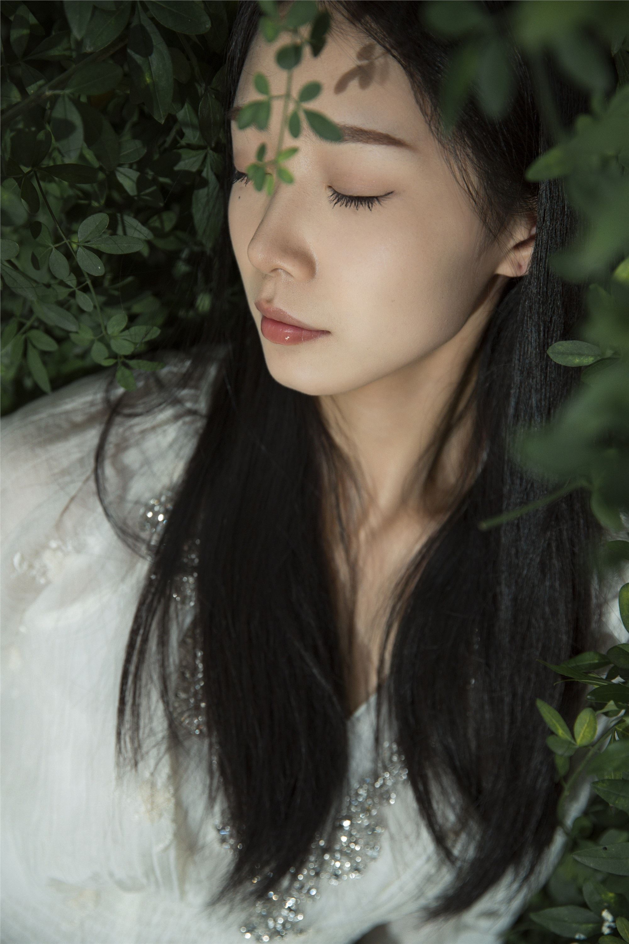 YITUYU艺图语 2025.01.20 Nature 鑫鑫